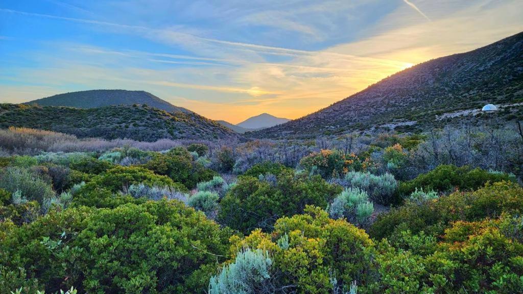 Sage Desert Dreams Mount Charleston Extérieur photo